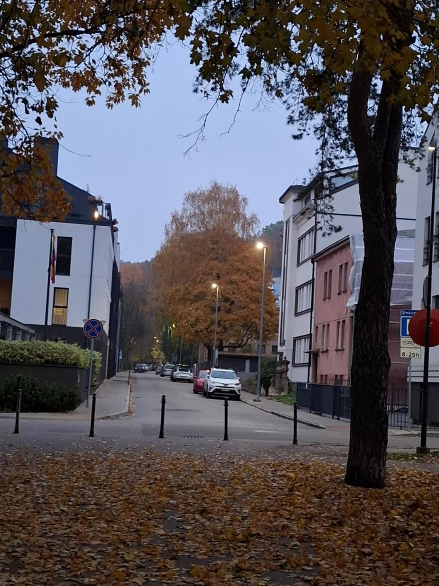 Maple Park Apartment Kaunas Kültér fotó